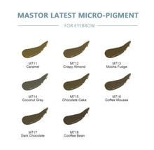 Load image into Gallery viewer, Mastor Micropigments/PMU Pigments